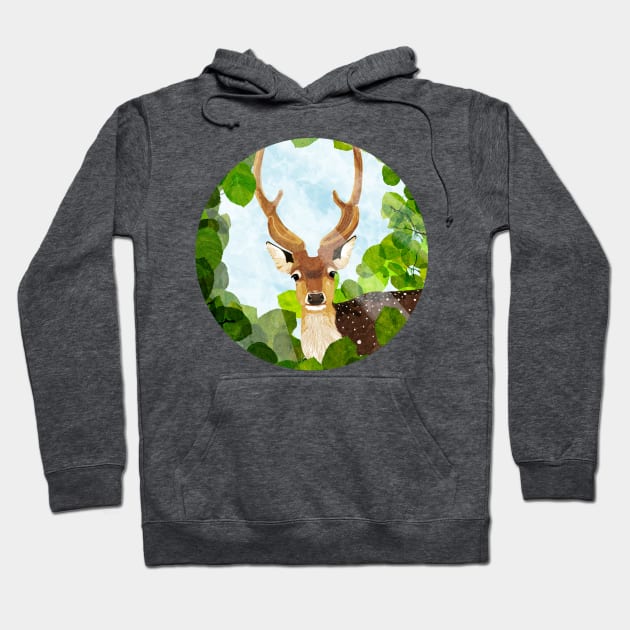 fallow deer Hoodie by KatherineBlowerDesigns